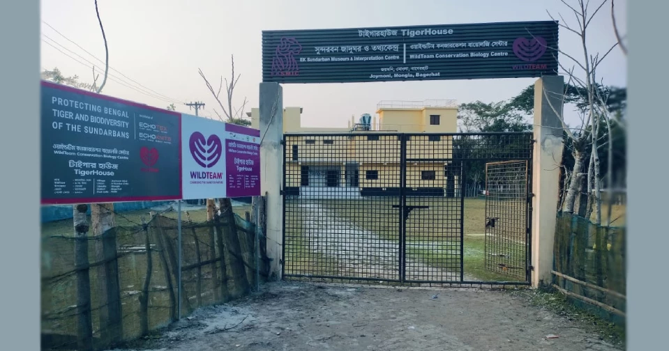 Motherly Sundarbans: The forest gives us life and protects us