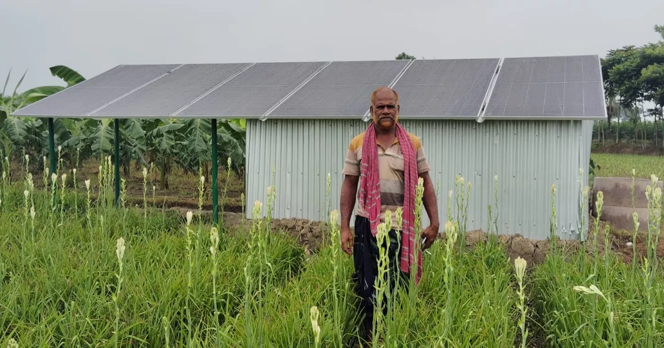Solar irrigation brings savings, extra income to Jhenaidah farmers