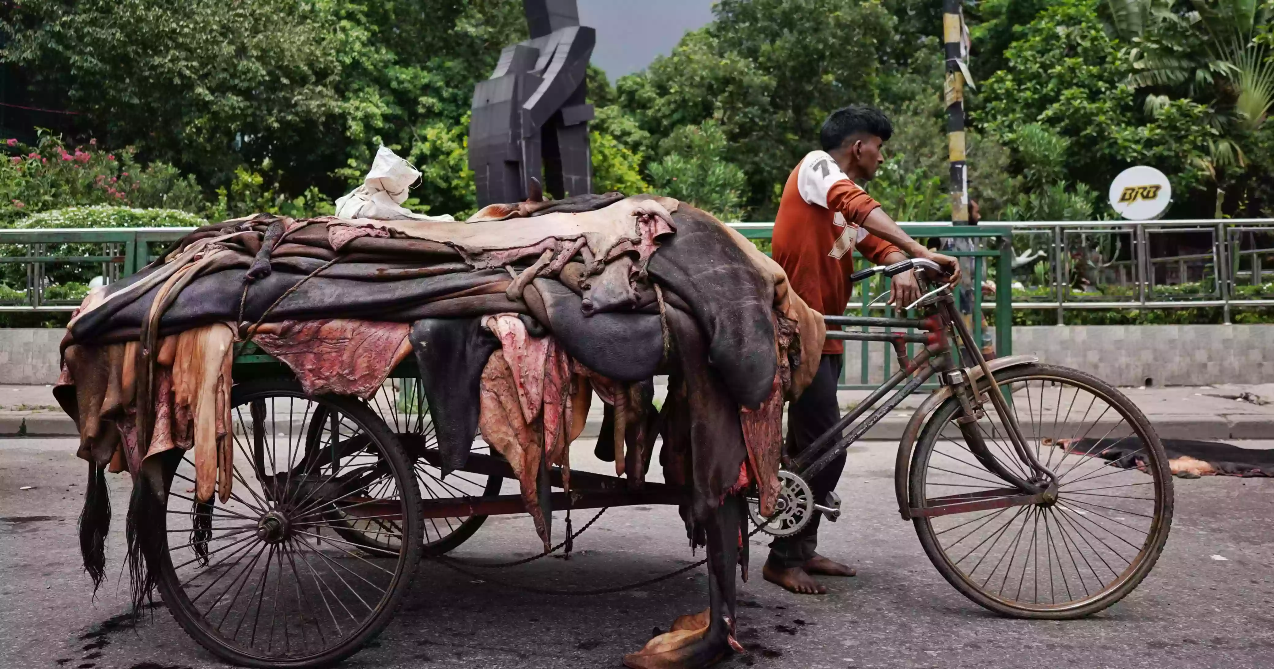 Rawhide market disappoints again as prices fail to cross Tk 1,000 mark