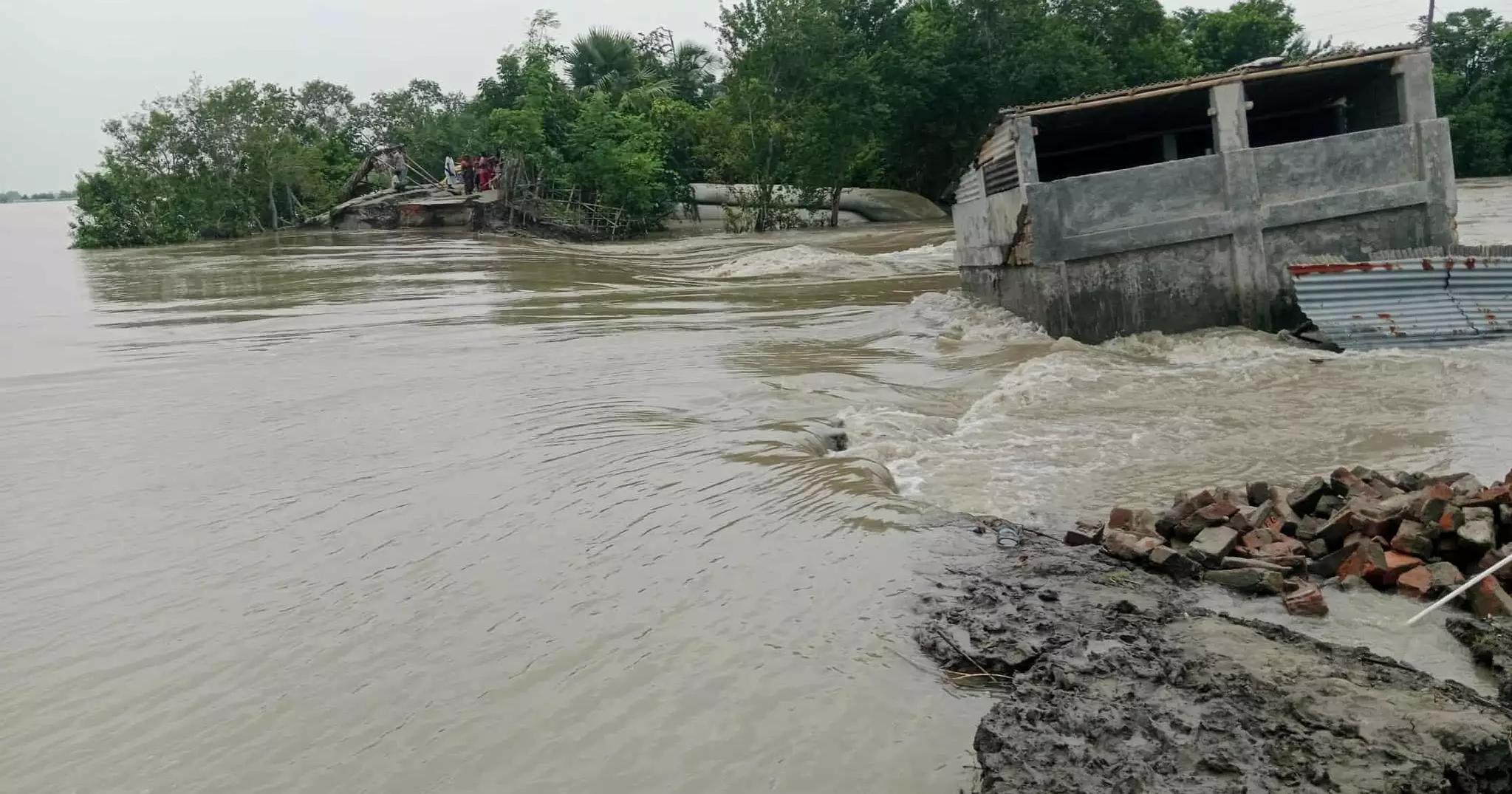 Tidal waters inundate low-lying areas as embankment collapses in Khulna