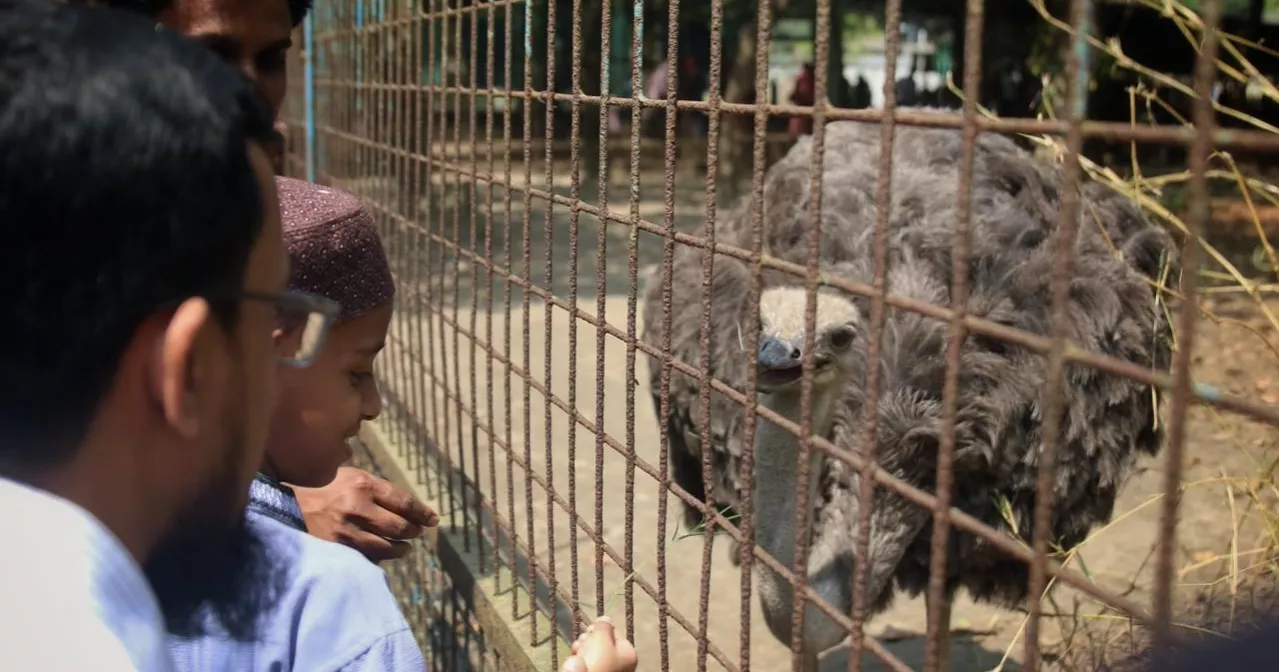 Eid joy continues as crowds flock to Dhaka Zoo