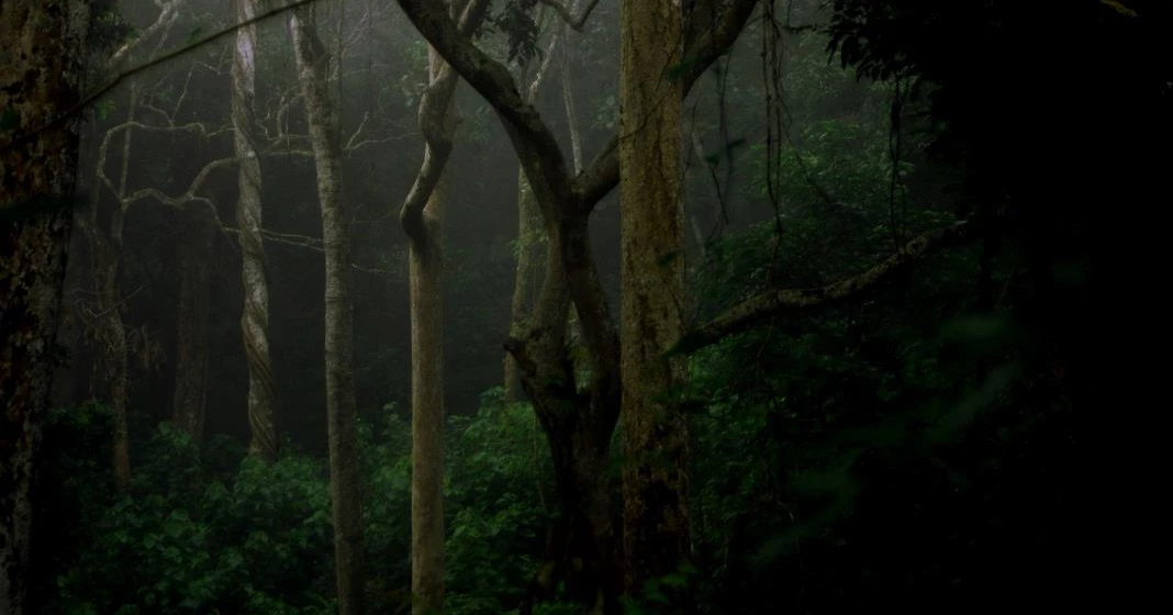 Rema–Kalenga Wildlife Sanctuary