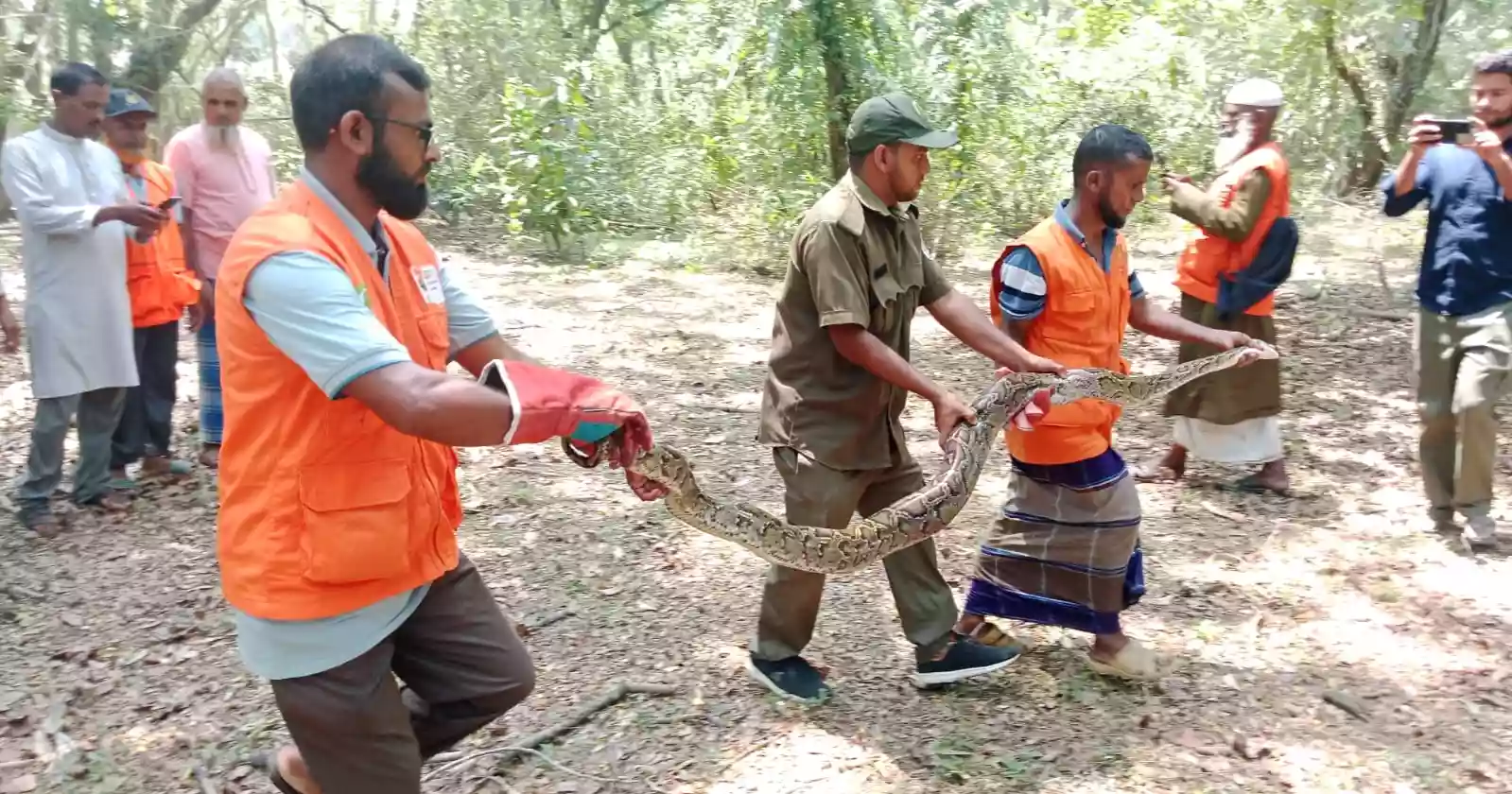 VTRT rescues 10-foot python from Bagerhat, releases it into Sundarbans