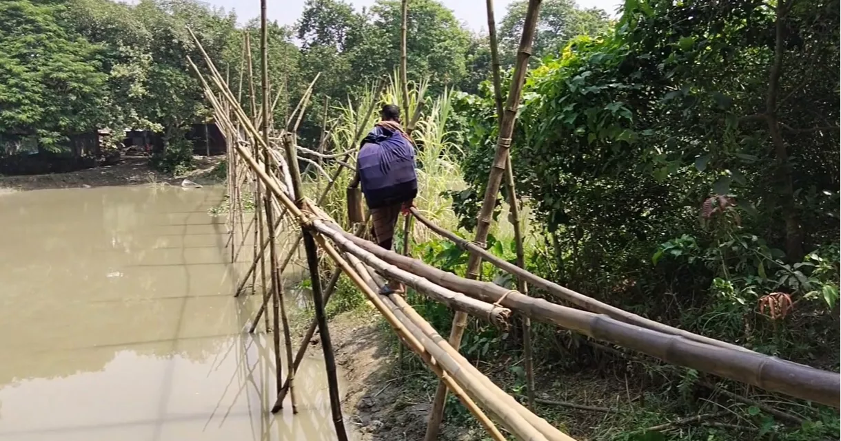 25 Manikganj villages rely on fragile bamboo bridge for daily travel