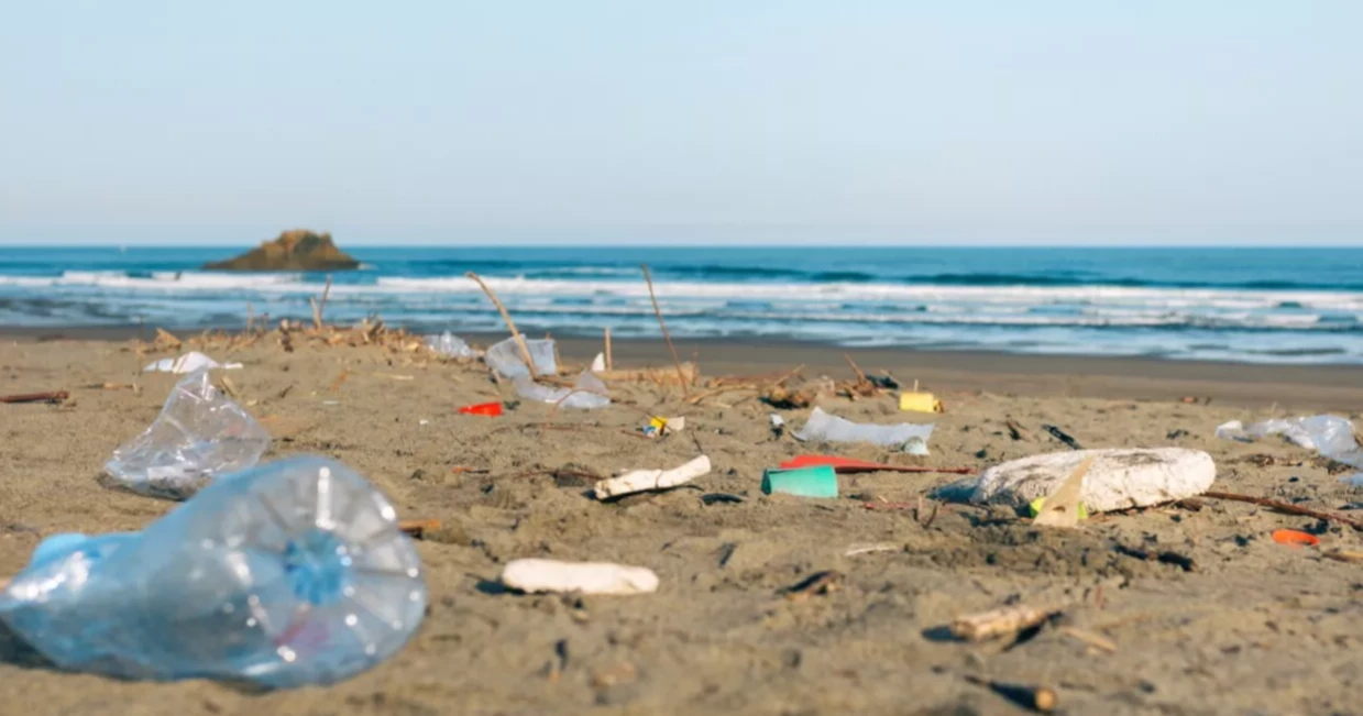 From paradise to pollution: Cox’s Bazar tourists shocked by sewage in sea