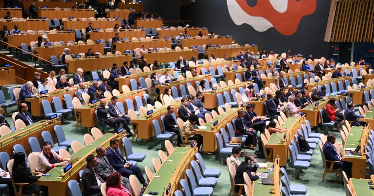 Devise roadmap for Rohingya repatriation, act together to stabilise Rakhine: Prof Yunus