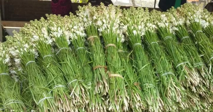 Jashore’s Gadkhali blooms with hope; flower business may cross Tk 400 crore 