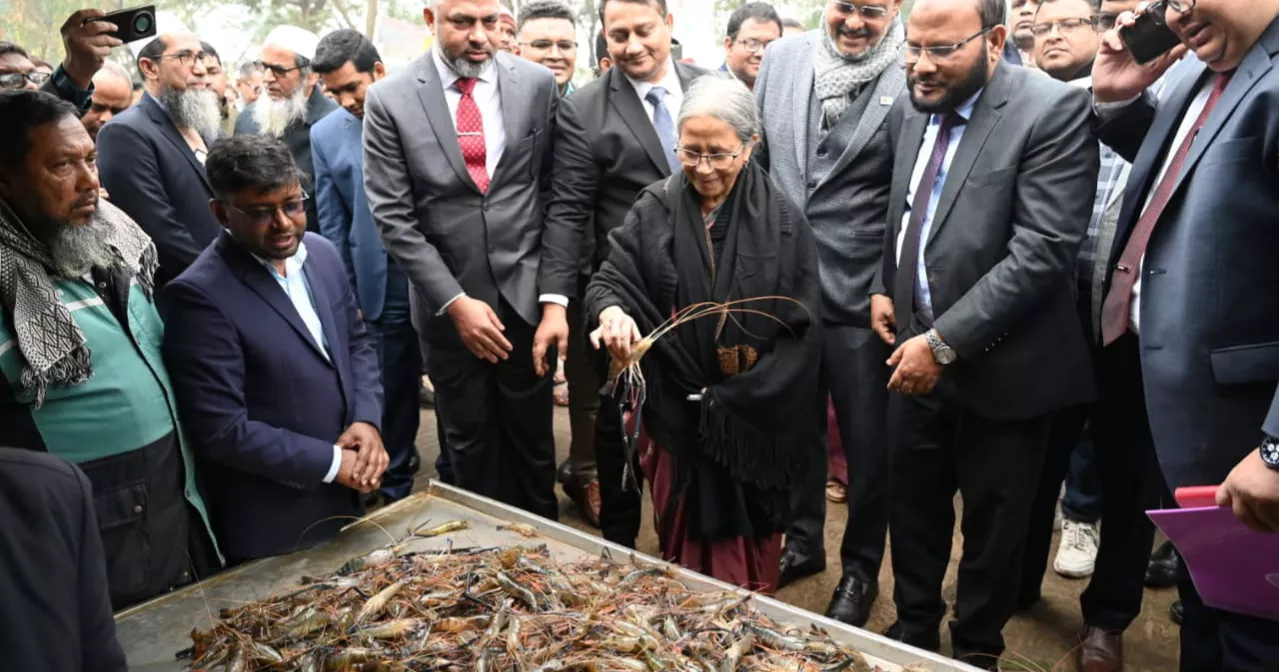 Move underway to ensure 20% power subsidy for fisheries: Adviser Farida