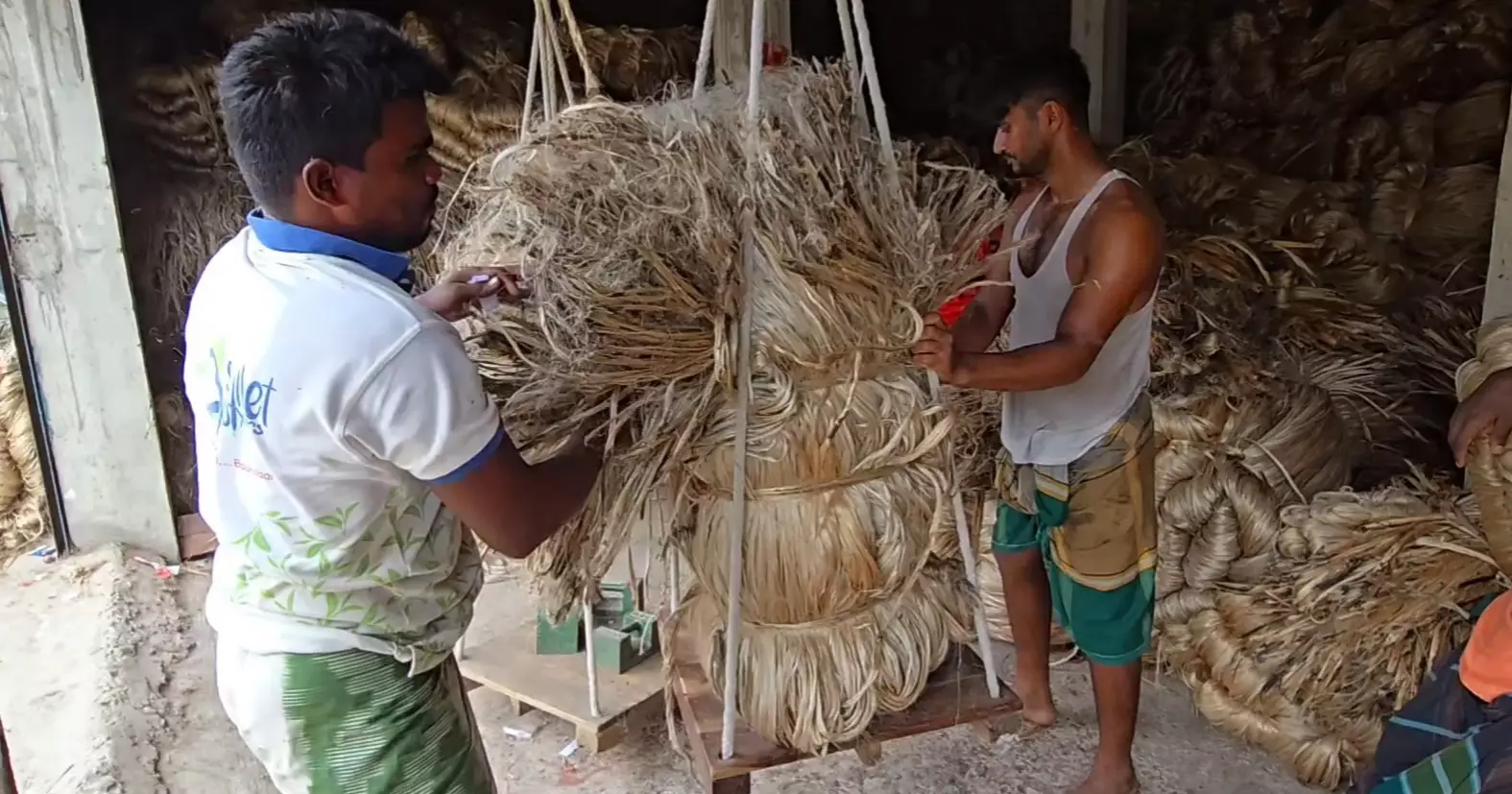 Farmers worry over fair price despite good jute yield in Faridpur