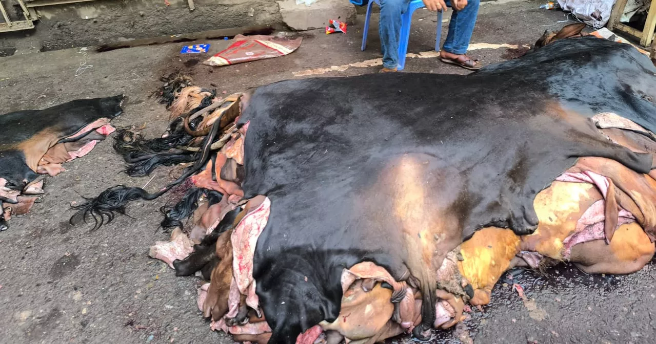 Shortage of butchers delays sacrificial slaughter on Eid Day in Dhaka