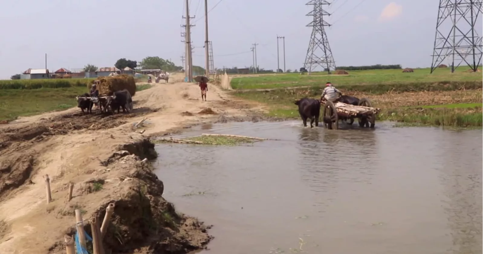 No bridges, endless sandbanks: Kushtia char residents face daily ordeal