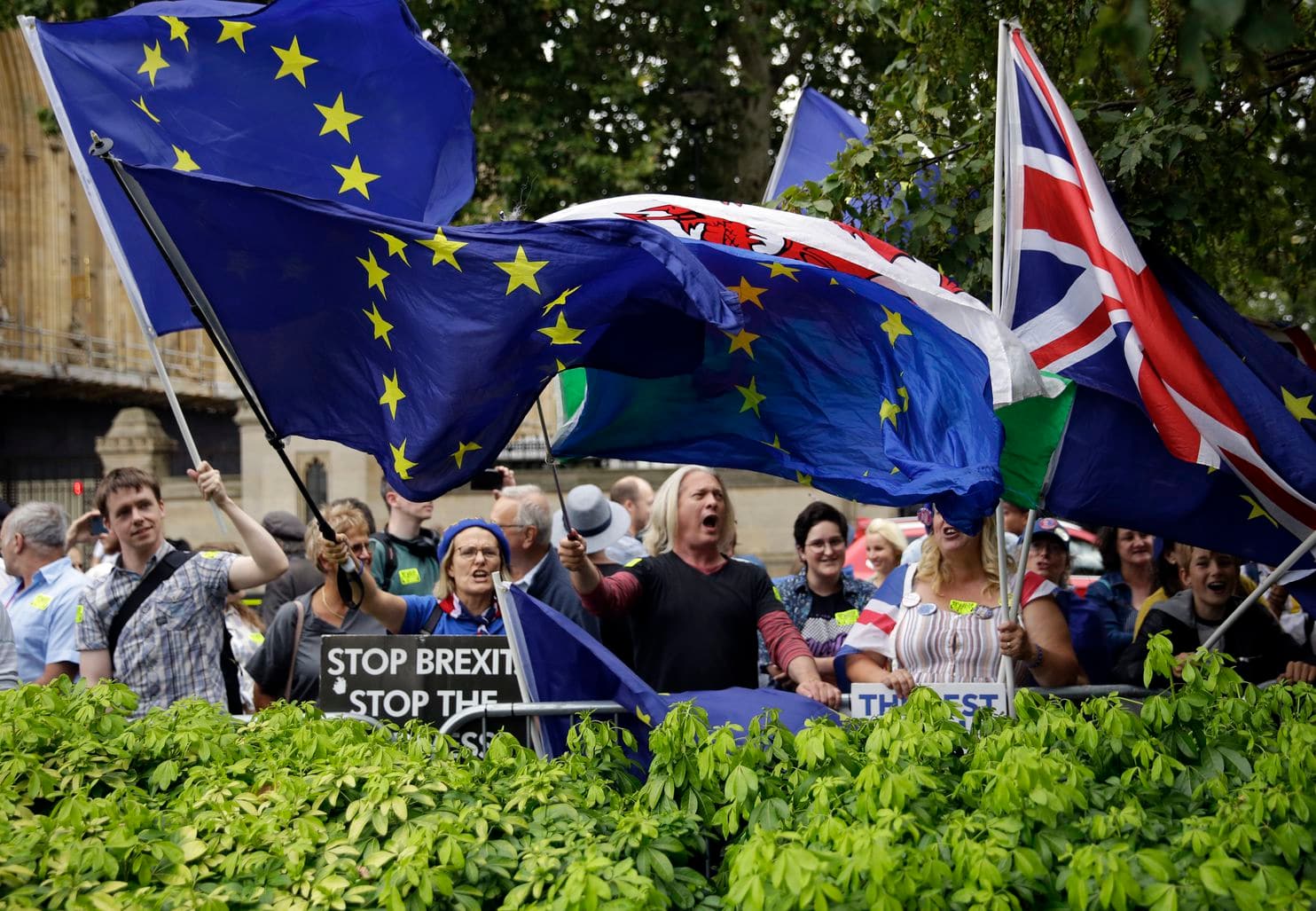 UK's Johnson moves to suspend Parliament ahead of Brexit