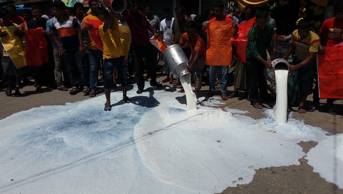 Pabna dairy farmers stage demo dumping milk on road
