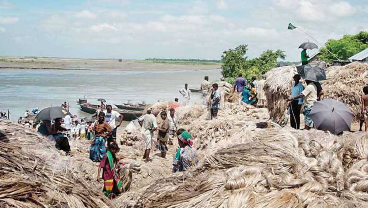 Raw jute crisis hampers production in Khulna-Jashore region mills