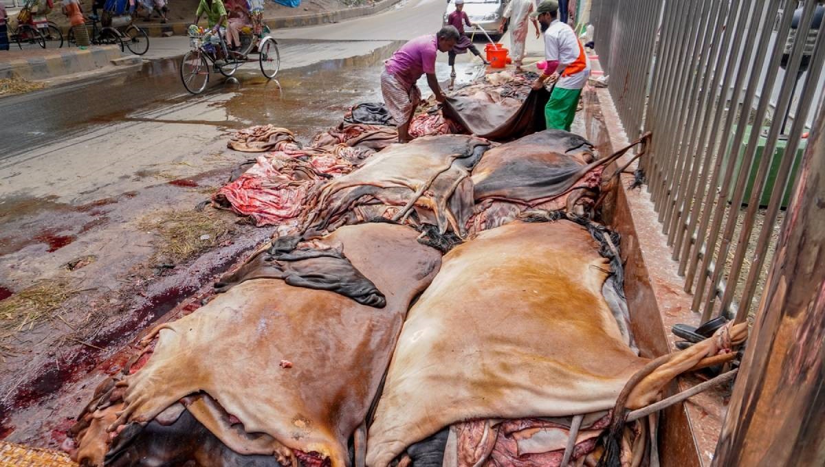 BNP strongly against rawhide export 