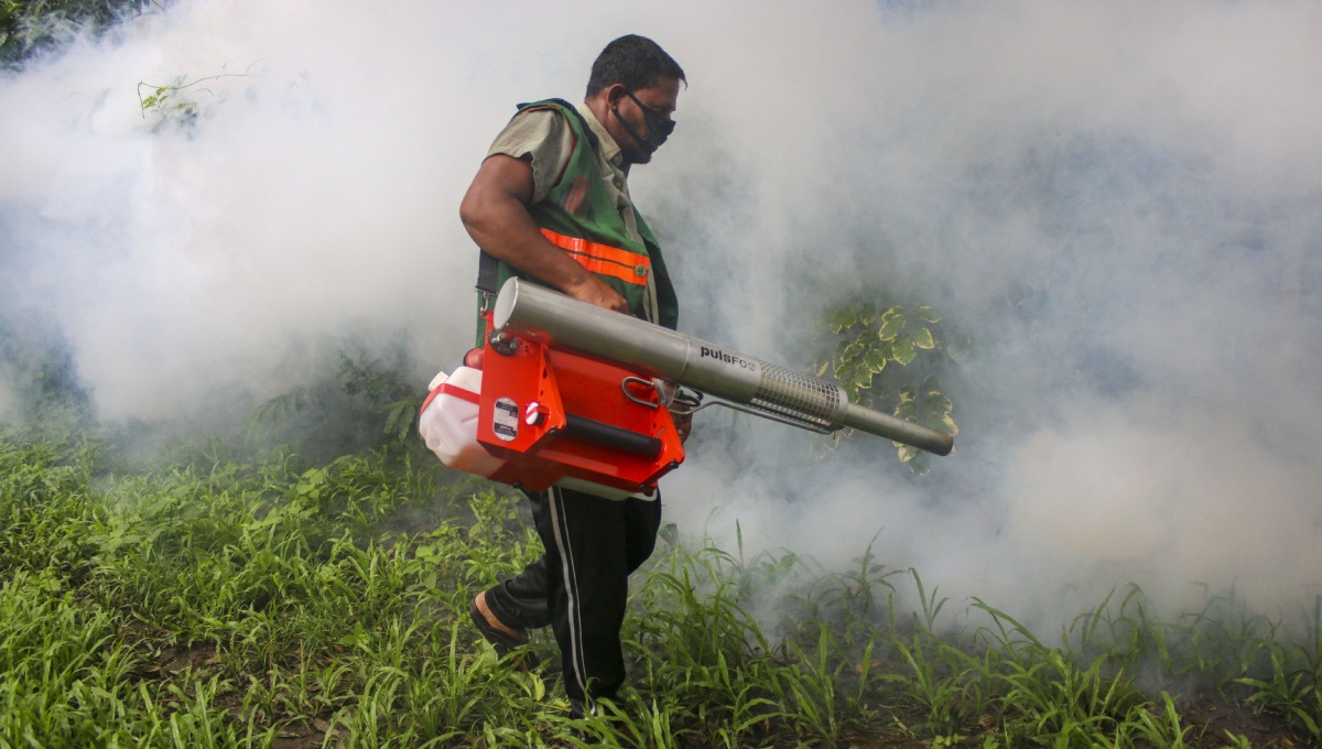 When will mosquito medicine arrive, asks HC