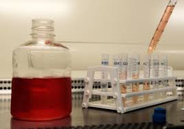 China to launch clinical trial of long-lasting HIV vaccine: paper