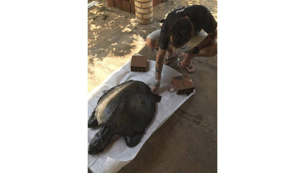 Brazil says more than 100 tons of oil spills found on coast