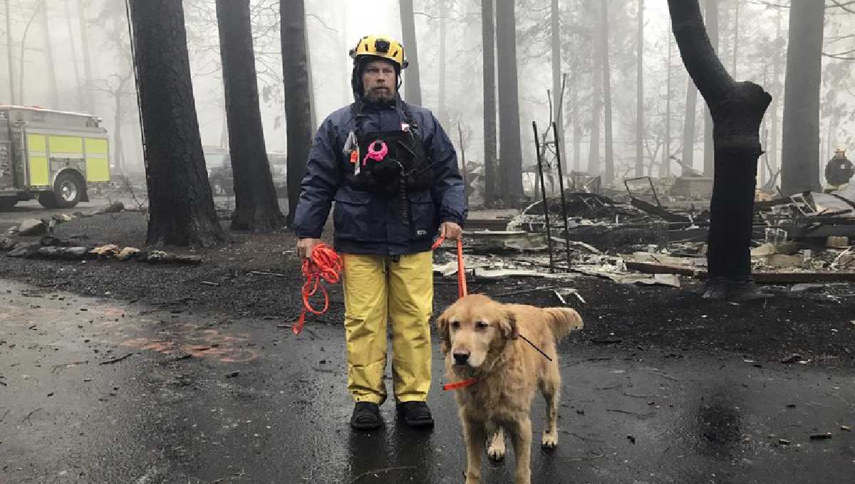 Rain helps douse California fire but slows search crews