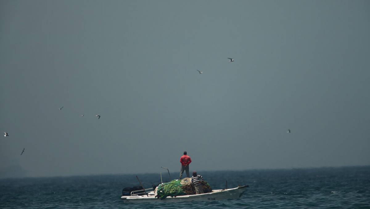 Tankers reported damaged off UAE on major oil trade route