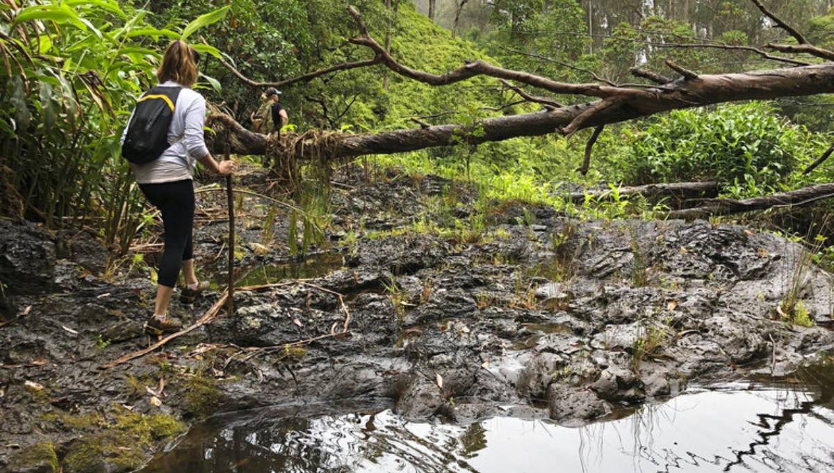 Tech makes it easier to search wilderness for missing people