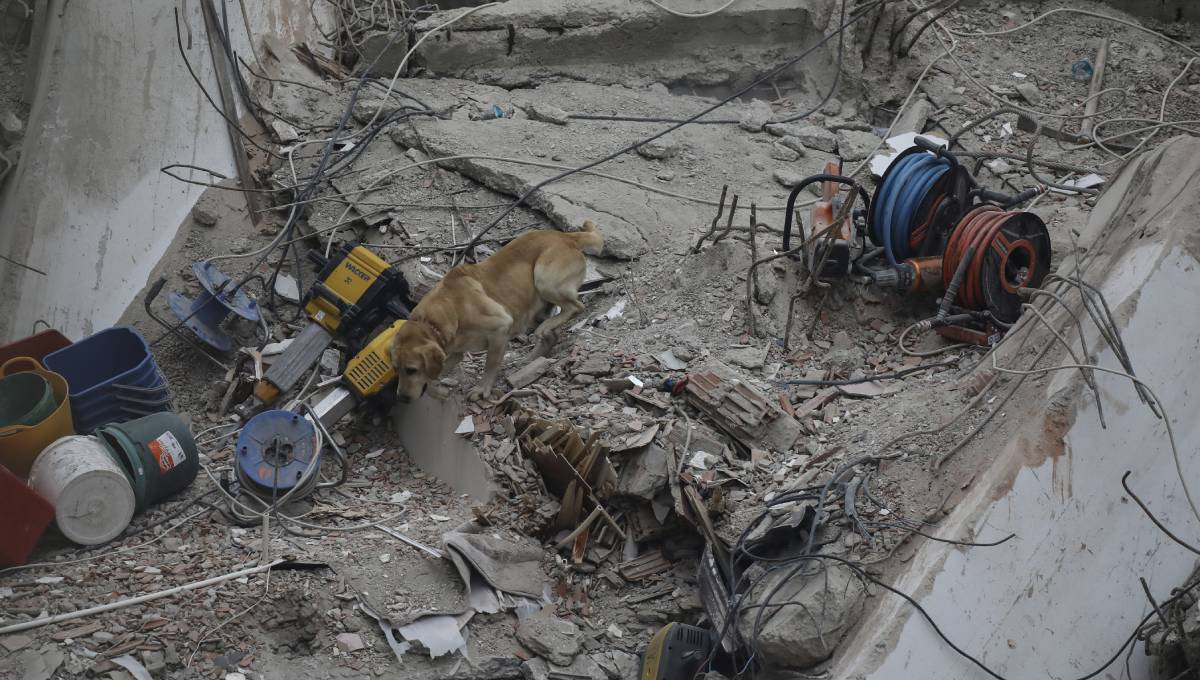 15 dead in Istanbul building collapse; 9 from one family