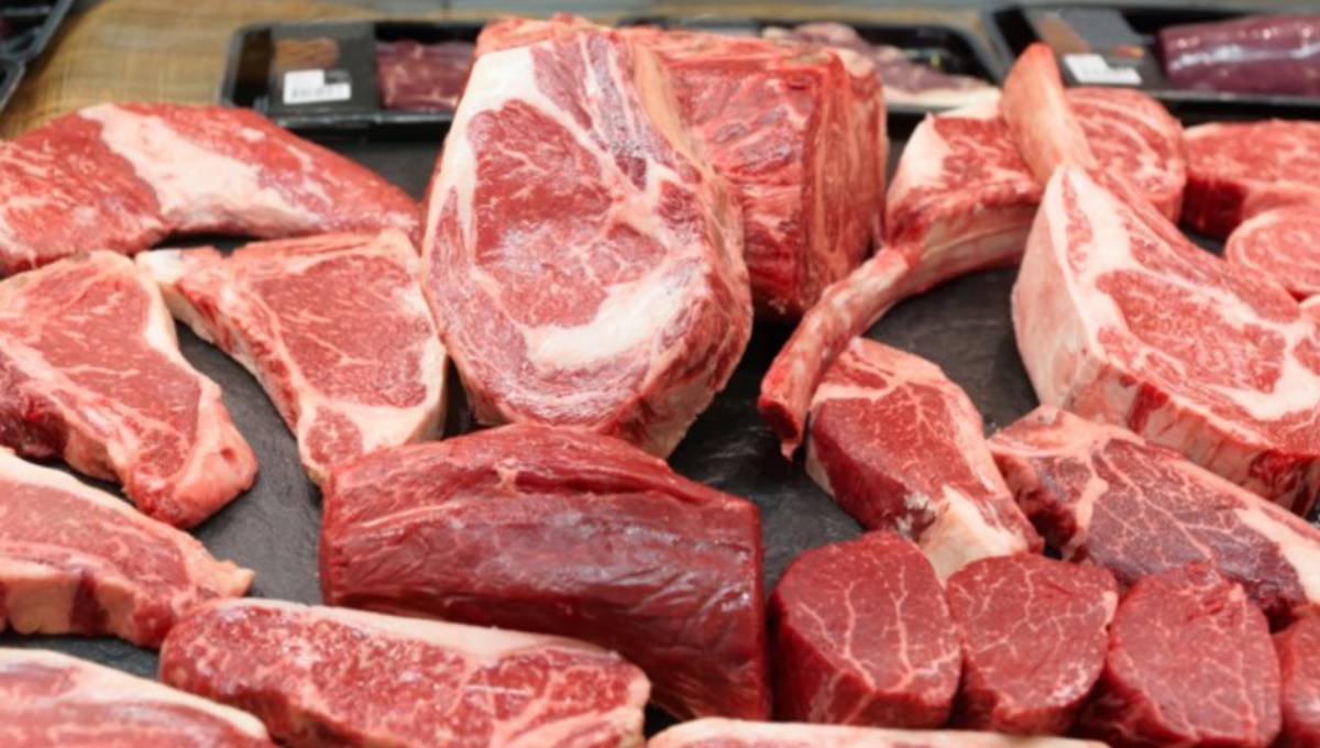 Bangladesh now counts on cattle; large-scale meat export planned