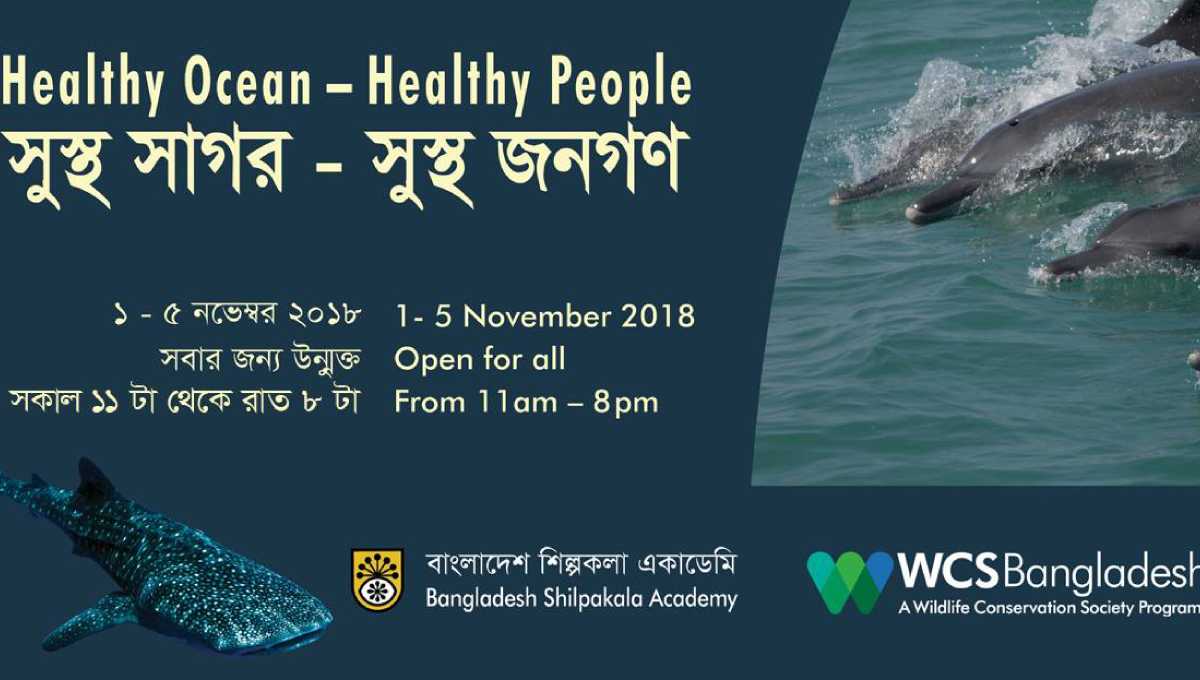 Show on marine wildlife begins Thursday at BSA