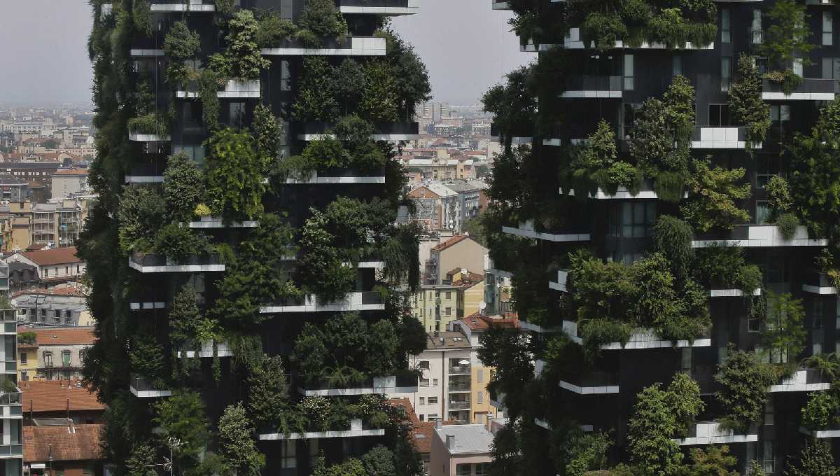 Plant a tree: Milan's ambitious plans to be cleaner, greener